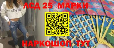 шишки Гудермес