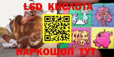 шишки Гудермес