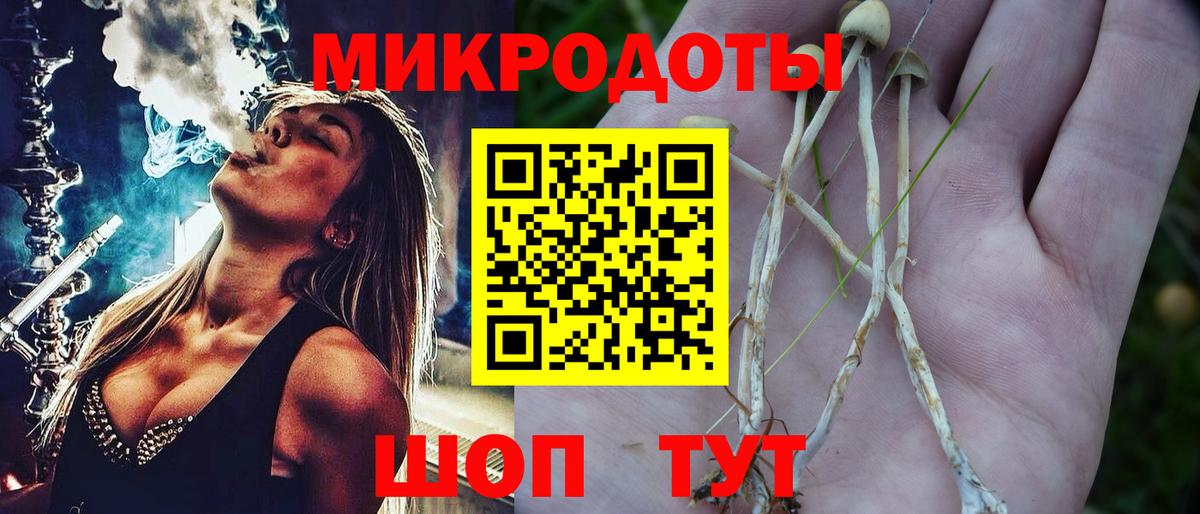 Братск  Псилоцибиновые грибы Magic Shrooms  Вход с VPN  Псилоцибиновые грибы ЛСД 