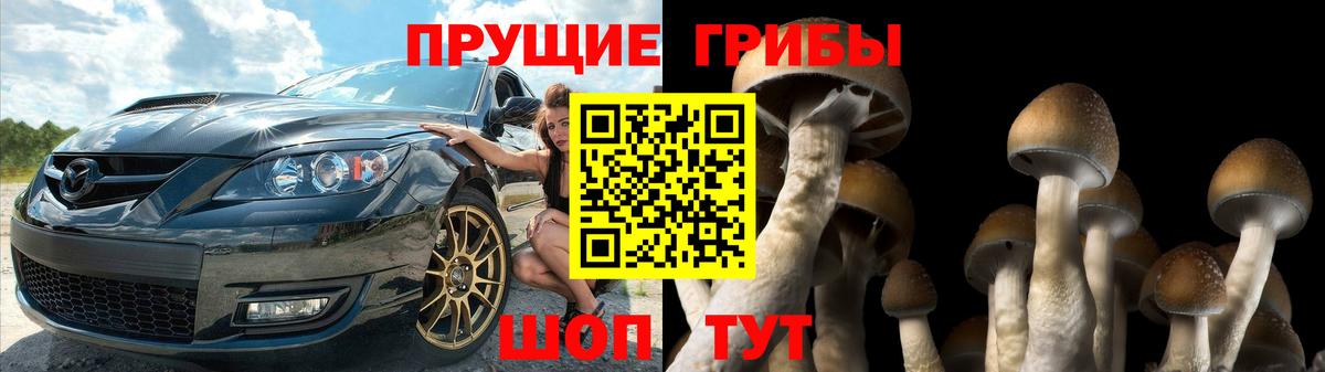 Псилоцибиновые грибы Cubensis Братск